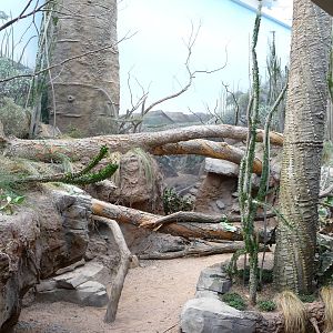 Bronx Zoo - Madagascar!