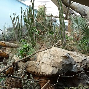 Bronx Zoo - Madagascar!