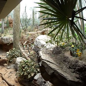 Bronx Zoo - Madagascar!