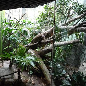 Bronx Zoo - Madagascar!