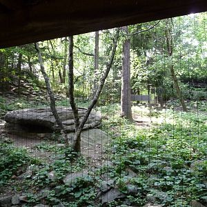 Bronx Zoo - Snow Leopard Habitat