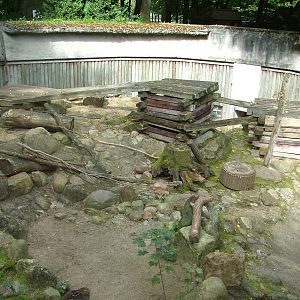 Mountain Hare enclosure at Tierpark Neumuenster 2007