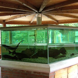 Aquarium at Tierpark Neumuenster 2007
