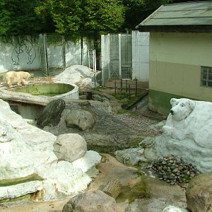 Polar Bear enclosure at Tierpark Neumuenster 2007