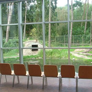Macaque viewing area at Tierpark Neumuenster 2007
