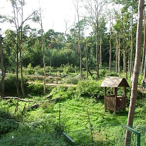 Barbary Macaque walk-through at Tierpark Neumuenster 2007