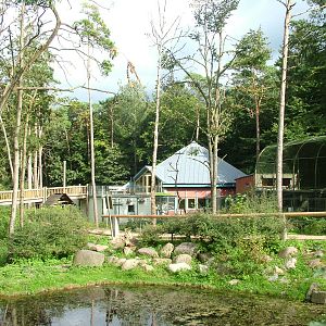 Barbary Macaque walk-through at Tierpark Neumuenster 2007