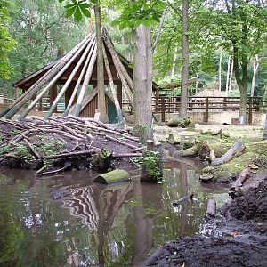 Beaver enclosure at Tierpark Neumuenster 2007