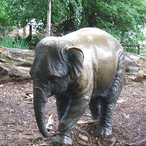 Baby elephant statue