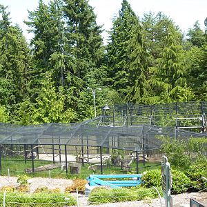 Off-Exhibit Enclosures