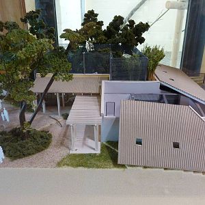 Clouded Leopard Exhibit - Model