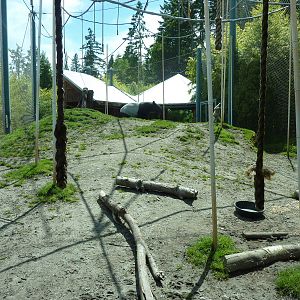Asian Forest Sanctuary - Rotation Exhibit