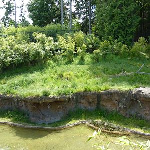 Asian Forest Sanctuary - Rotation Exhibit