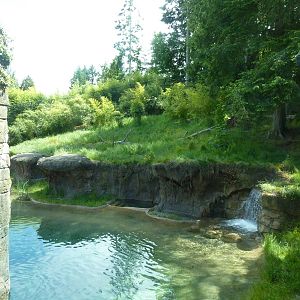 Asian Forest Sanctuary - Rotation Exhibit