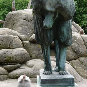 Baboon and Baboon Statue