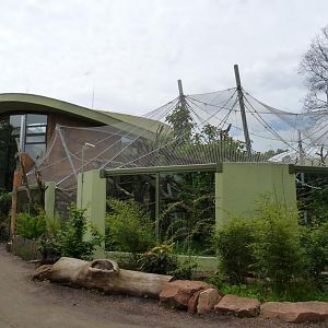 New Orang Outdoor Exhibit