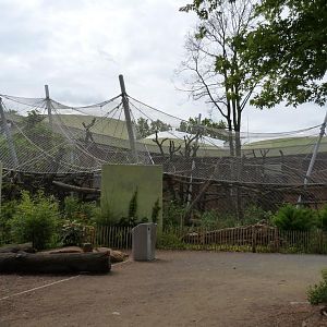 New Orang OutdoorExhibit
