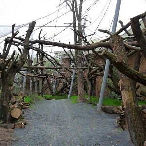 Orang Outdoors,detail