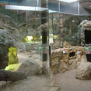 Sonora house interior at Plzen, 25/05/10