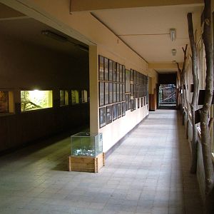 Animal house interior at Plzen, 25/05/10