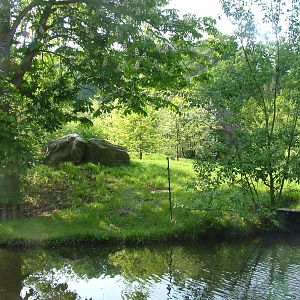 Barbary Lion exhibit at Plzen, 25/05/10