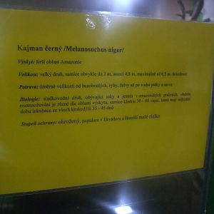 Signage example at Protivin Crocodile Zoo, 26/05/10