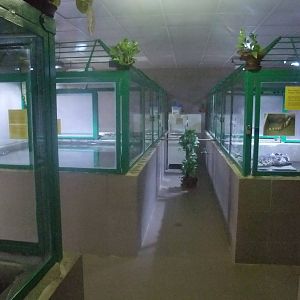 Crocodile exhibits at Protivin Crocodile Zoo, 26/05/10