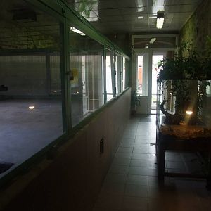 Alligator exhibits at Protivin Crocodile Zoo, 26/05/10