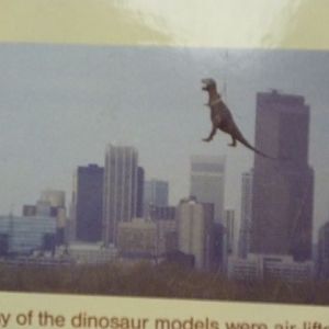 Prehistoric Park Construction