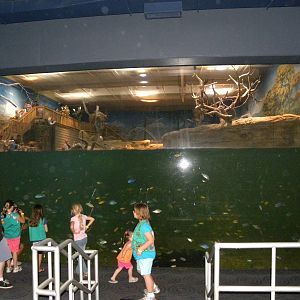 Hippo/bird exhibit