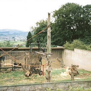 Chimpanzee Enclosure September 1991