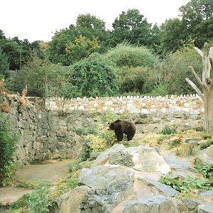 Bear Enclosure September 1991