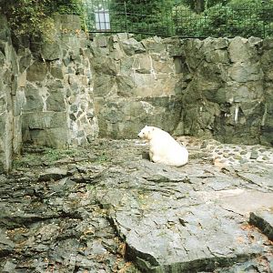 Polar Bear Enclosure September 1991