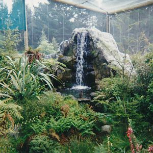 walk-through NZ aviary