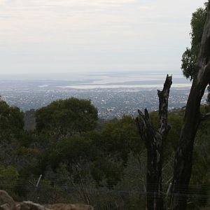 View of Adelaide