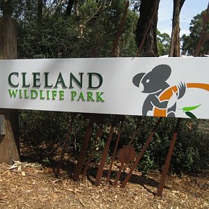 Entrance Sign