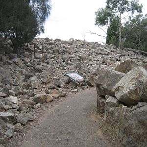 Rock Wallaby and Wallaroo enclosure