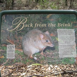 Signage in Mallee Woodland