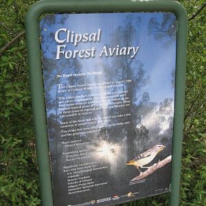 Forest Aviary sign