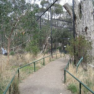 Mallee Aviary interior