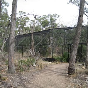 Mallee Aviary