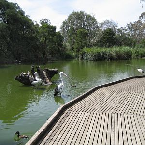 Wetlands exhibit