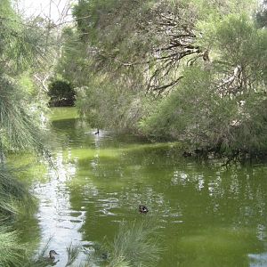 Wetlands exhibit