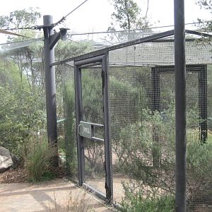 Entrance to Forest Aviary