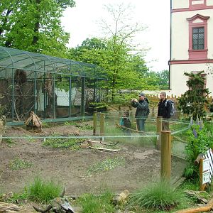 Americas area at Ohrada, 26/05/10