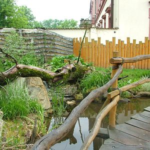 Americas area at Ohrada, 26/05/10