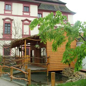 Americas area at Ohrada, 26/05/10