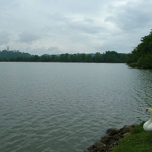 Lakeside view at Ohrada, 26/05/10