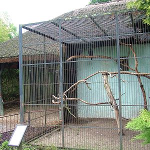 Raven exhibit at Ohrada, 26/05/10