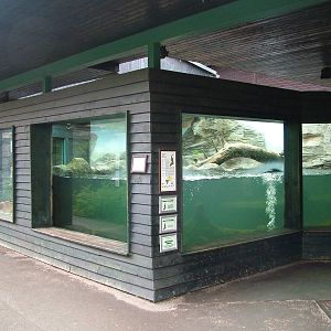 Otter exhibit at Ohrada, 26/05/10